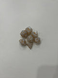 Juego de 7 dados para juegos de rol. 16 mm